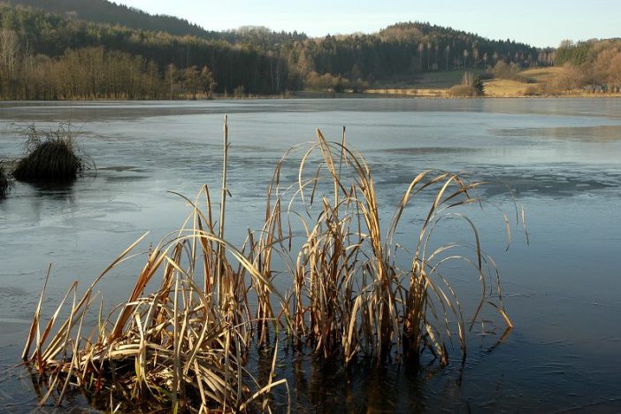 ÚNOROVÁ VĚŠTÍRNA VLASTÍKA BRŮČKA