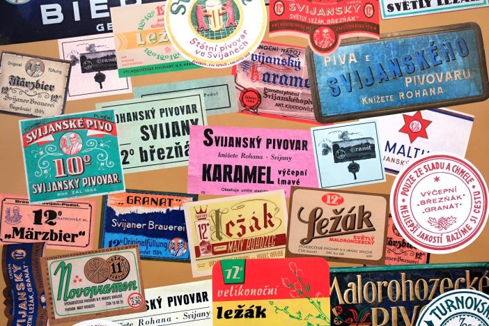 PODZIMNÍ VÝSTAVY A KINO