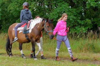 SLAVÍME 10 LET! VESELÝ PALOUČEK – MÍSTO, KDE RADOST NA HŘBETU KONĚ LÉČÍ, BUDE POMÁHAT S NOVÝM HIPOREHABILITAČNÍM KONĚM